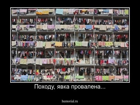Походу, явка провалена...