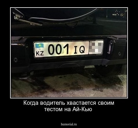 Когда водитель хвастается своим тестом на Ай-Кью