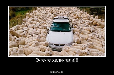 Э-ге-ге хали-гали!!!