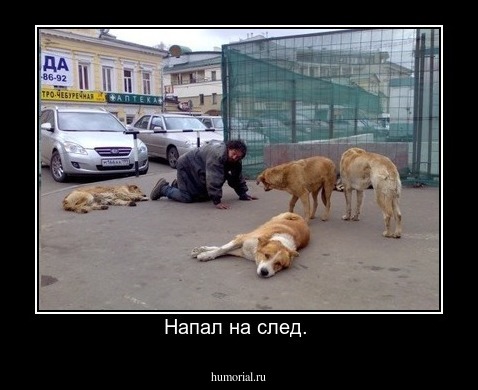 Напал на след. 