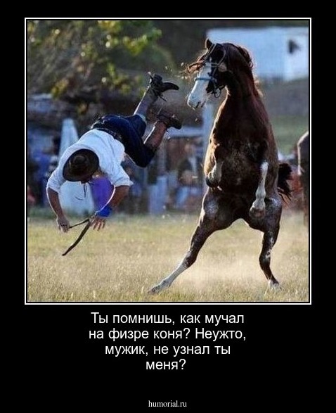 Ты помнишь, как мучал на физре коня?   Неужто, мужик, не узнал ты меня?