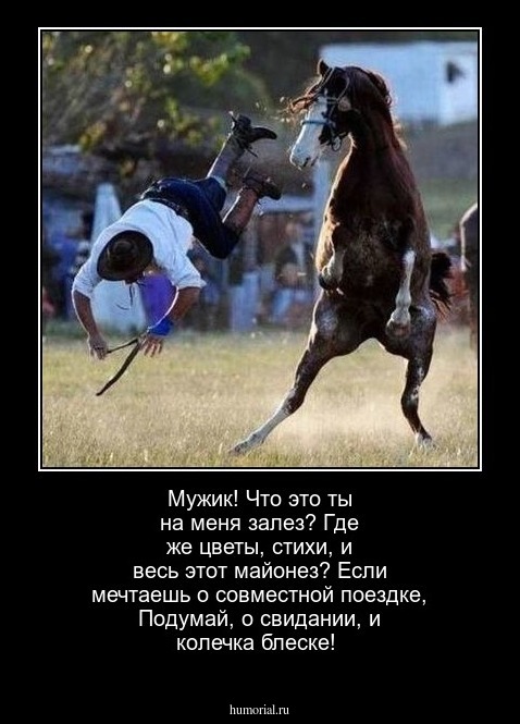 Мужик! Что это ты на меня залез? 
Где же цветы, стихи, и весь этот майонез? 
Если мечтаешь о совместной поездке, 
Подумай, о свидании, и колечка блеске!