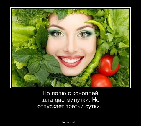 По полю с коноплёй шла две минутки,
Не отпускает третьи сутки.
