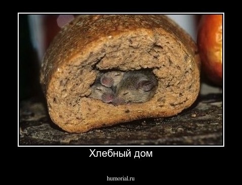 Хлебный дом