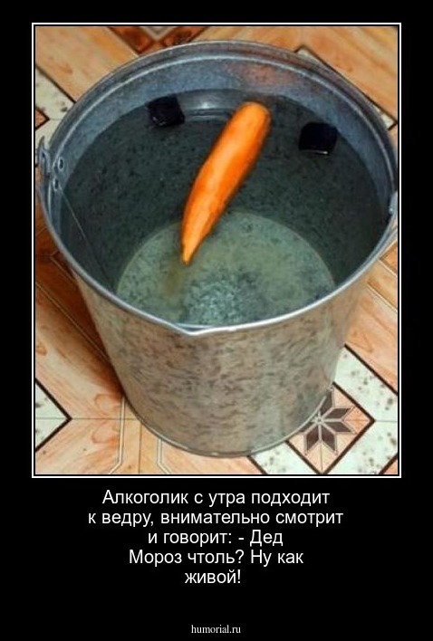 Алкоголик с утра подходит к ведру, внимательно смотрит и говорит:
- Дед Мороз чтоль? Ну как живой! 