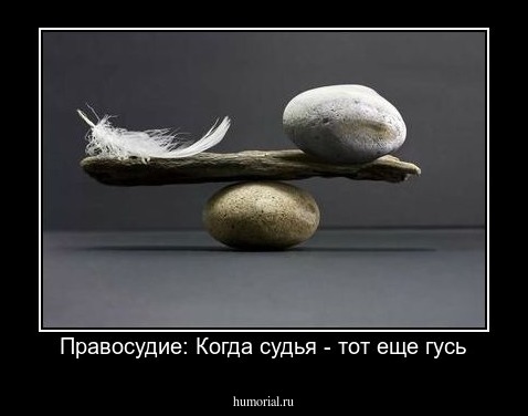 Правосудие: Когда судья - тот еще гусь