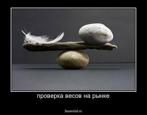 проверка весов на рынке