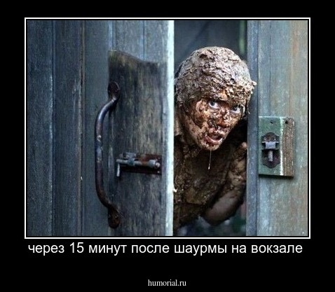 через 15 минут после шаурмы на вокзале 