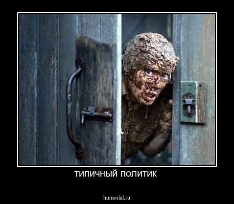 типичный политик 