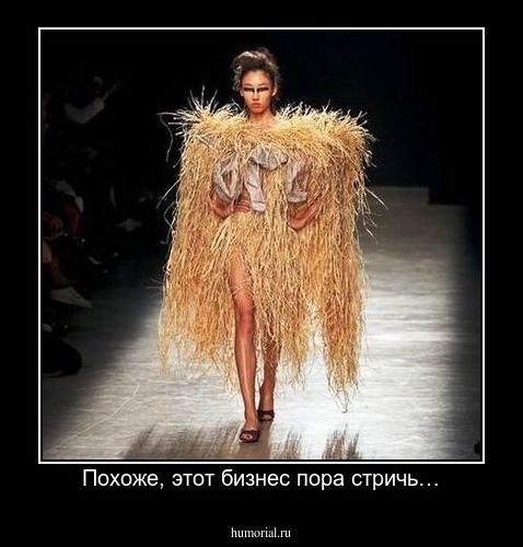 Похоже, этот бизнес пора стричь…