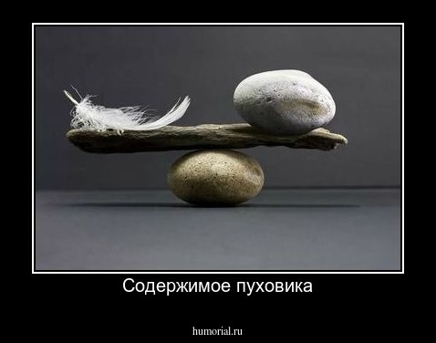 Содержимое пуховика