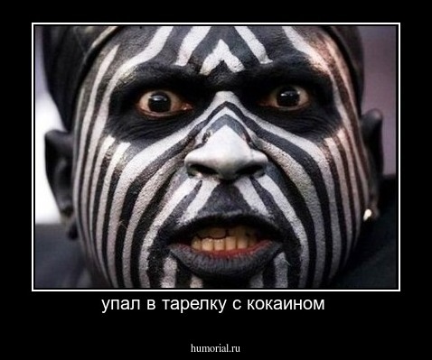 упал в тарелку с кокаином 