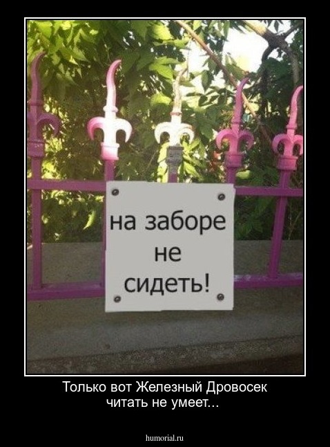 Только вот Железный Дровосек читать не умеет...