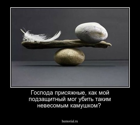 Господа присяжные,  как мой подзащитный мог убить таким невесомым камушком?