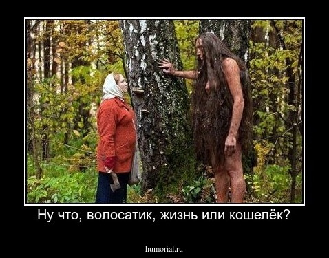 Ну что, волосатик, жизнь или кошелёк?