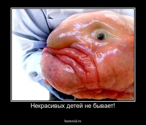Некрасивых детей не бывает!