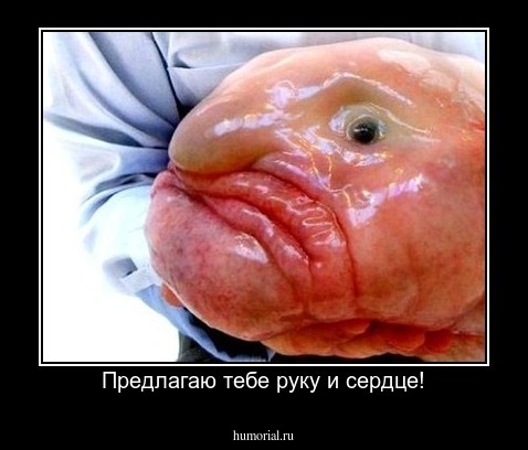 Предлагаю тебе руку и сердце!