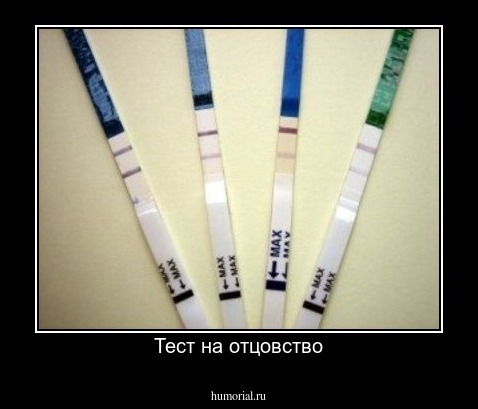 Тест на отцовство