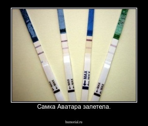 Самка Аватара залетела.