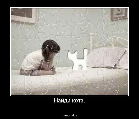 Найди котэ.