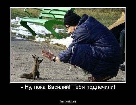 - Ну, пока Василий! Тебя подлечили!