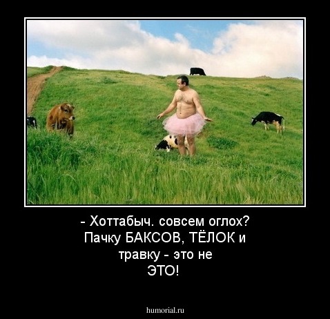 - Хоттабыч. совсем оглох? Пачку БАКСОВ, ТЁЛОК и травку - это не ЭТО!