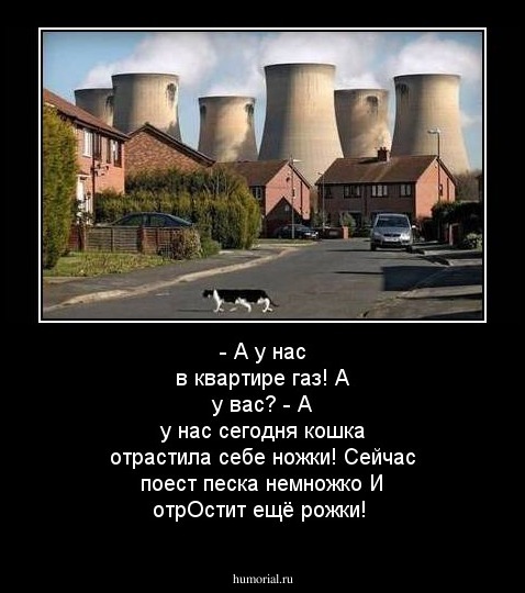 - А у нас в квартире газ! А у вас?
- А у нас сегодня кошка отрастила себе ножки!
Сейчас поест песка немножко 
И отрОстит ещё рожки!