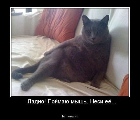 - Ладно! Поймаю мышь. Неси её...