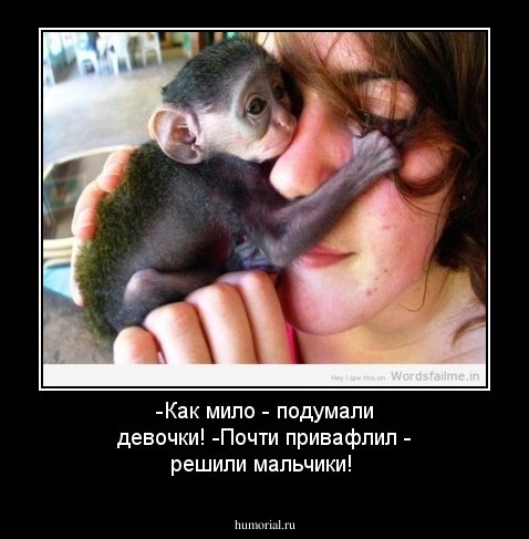 -Как мило - подумали девочки!
-Почти привафлил - решили мальчики!