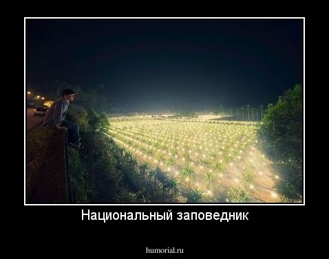 Национальный заповедник