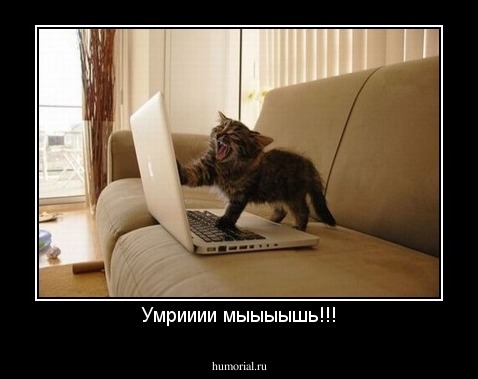 Умрииии мыыыышь!!!