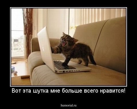 Вот эта шутка мне больше всего нравится!
