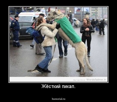Жёсткий пикап.