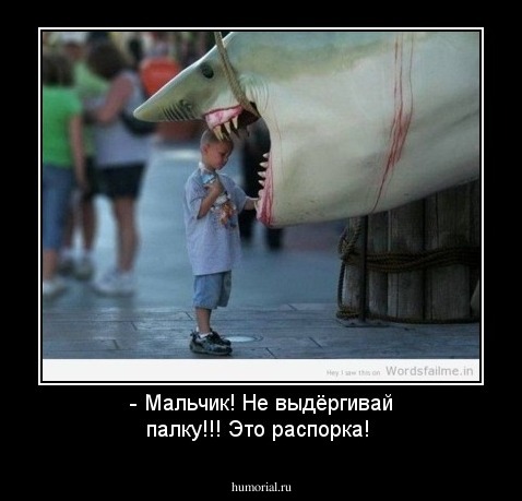 - Мальчик! Не выдёргивай палку!!! Это распорка!