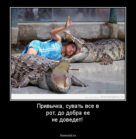 Привычка, сувать все в рот, до добра ее не доведет!