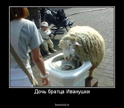 Дочь братца Иванушки