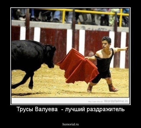 Трусы Валуева  - лучший раздражитель