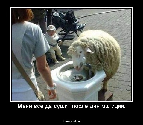Меня всегда сушит после дня милиции.