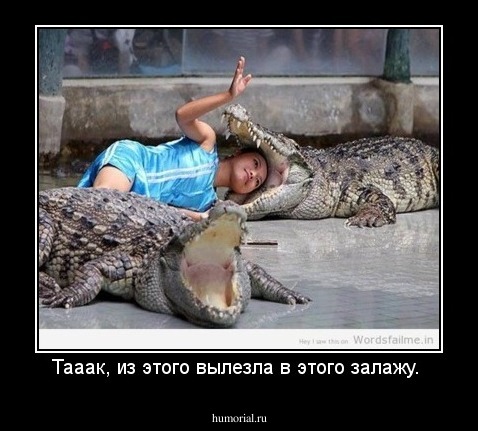 Тааак, из этого вылезла в этого залажу. 