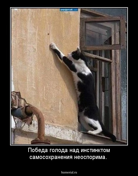Победа голода над инстинктом самосохранения неоспорима.
