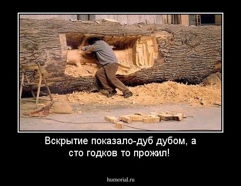 Вскрытие показало-дуб дубом, а сто годков то прожил!