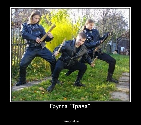 Группа "Трава".