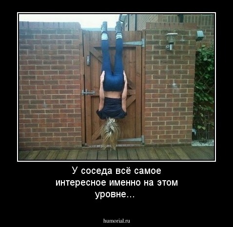 У соседа всё самое интересное именно на этом уровне...