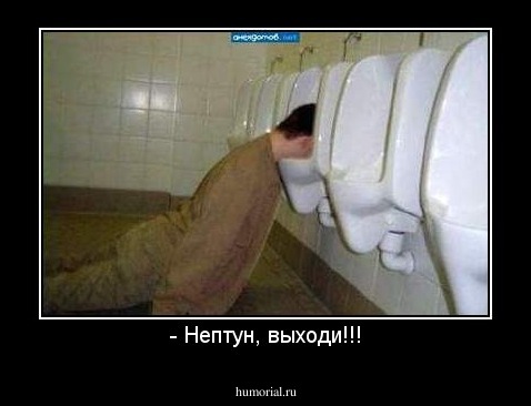 - Нептун, выходи!!!