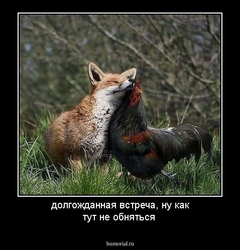 долгожданная встреча, ну как тут не обняться
