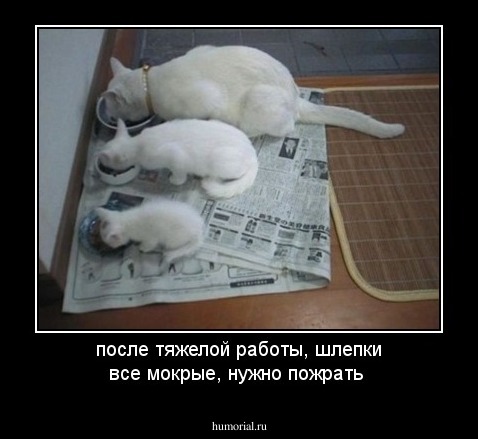 после тяжелой работы, шлепки все мокрые, нужно пожрать