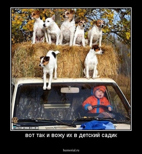 вот так и вожу их в детский садик