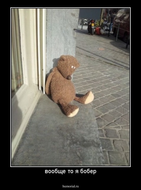 вообще то я бобер