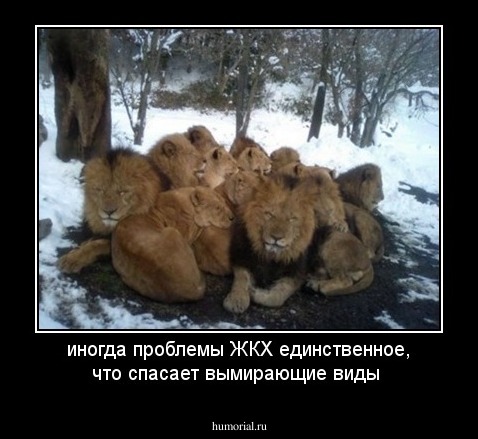 иногда проблемы ЖКХ единственное, что спасает вымирающие виды