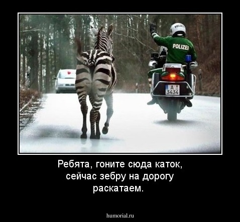 Ребята, гоните сюда каток, сейчас зебру на дорогу раскатаем.